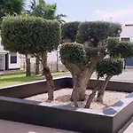 Appartement Punta Prima & Oasis *